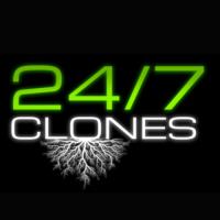 24/7 Clones image 1